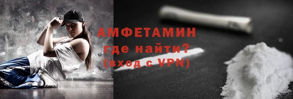 индика Заволжск