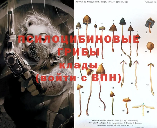 mdma Заводоуковск