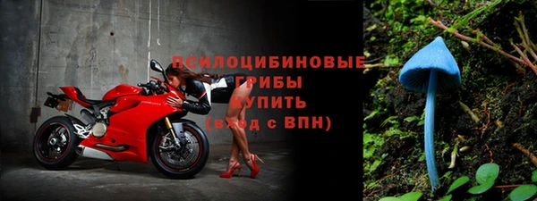 индика Заволжск