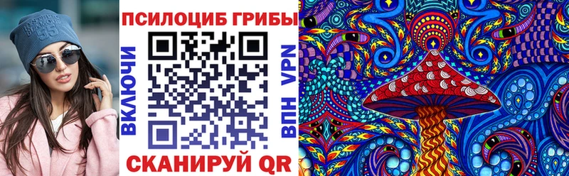 Купить  Звенигово  Псилоцибиновые грибы Psilocybe 